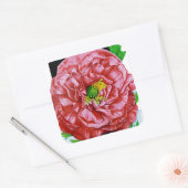 Poppyヴィンテージシードパケット スクエアシール (封筒)