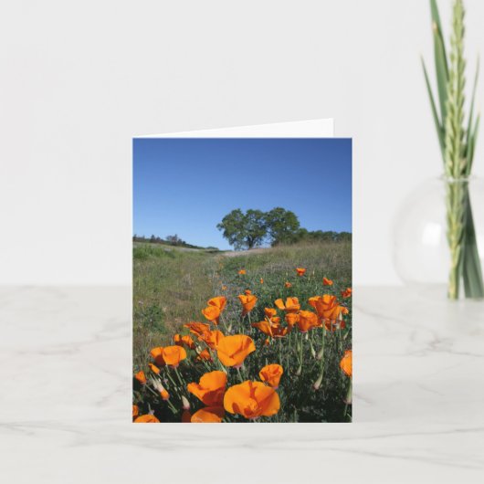 Poppy横向き、ノートカ空白のード カード (正面)