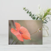Poppy自然フォトカード (スタンド正面)