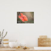 Poppy自然写真 ポスター (キッチン)