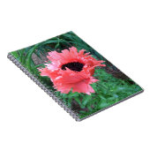 POPPY "ピンクラッフルズ" -- ノートブック (右側)