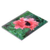 POPPY "ピンクラッフルズ" -- ノートブック (左側)