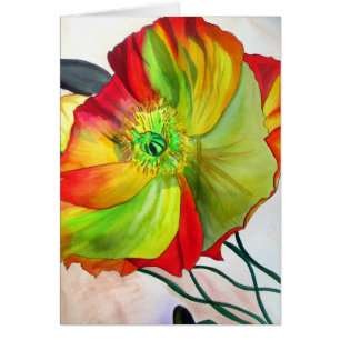 Poppy Artマクロpoppy