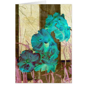 Poppy Beautiful