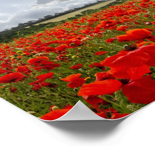 Poppy Flypast ポスター (角)
