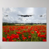 Poppy Flypast ポスター (正面)