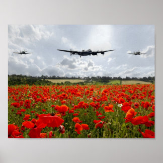 Poppy Flypast ポスター