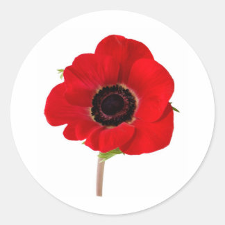POPPY of Remembrance ラウンドシール