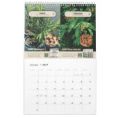 Popular Plants & Herbs - Calendar 2026/2027 カレンダー (1月 2027)