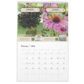 Popular Plants & Herbs - Calendar 2026/2027 カレンダー (2月 2026)