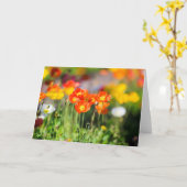 popyフィールドのグリーティングカード カード (黄色い花)