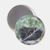 Porcupine Wildlife Animal Nature Personalized マグネット (正面/裏面)
