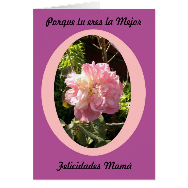 Porqueのeresのlaのmejorのfelicidadesのmejor (正面)