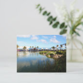 Port Elizabethの遊歩道 ポストカード (スタンド正面)