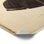 Port Stephenの先住民・チーフ、Cobawn Wogi氏 ポスター (角)