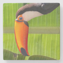 Porta copos  de pedra design Tucano