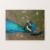 Portrait eines blauen Pfaus ジグソーパズル (横)