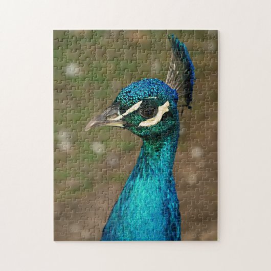 Portrait eines blauen Pfaus ジグソーパズル (縦)