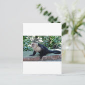 Portrait.JPG ポストカード (スタンド正面)