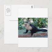 Portrait.JPG ポストカード (正面/裏面)