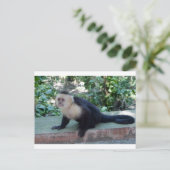 Portrait.JPG ポストカード (スタンド正面)