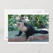 Portrait.JPG ポストカード (正面/裏面)