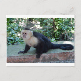 Portrait.JPG ポストカード