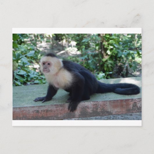 Portrait.JPG ポストカード (正面)