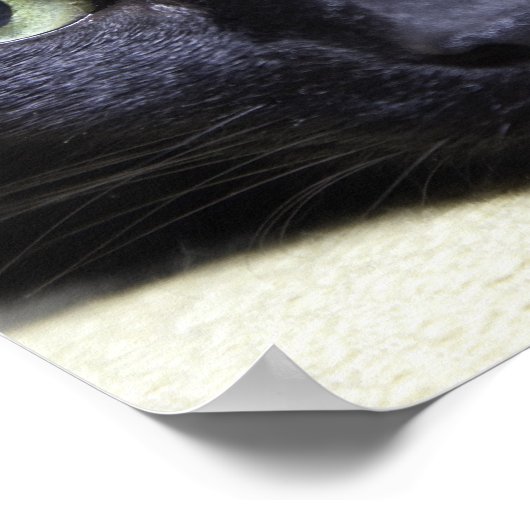 Portrait of a Cat ポスター (角)