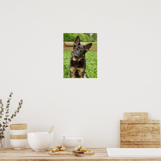 Portrait of a German Shepherd ポスター (キッチン)