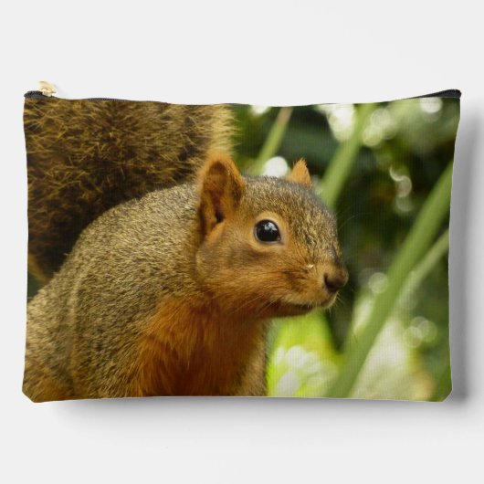 Portrait of a Squirrel Nature Animal Photography アクセサリーポーチ (正面)