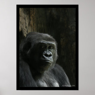 Portrait of an Ape ポスター