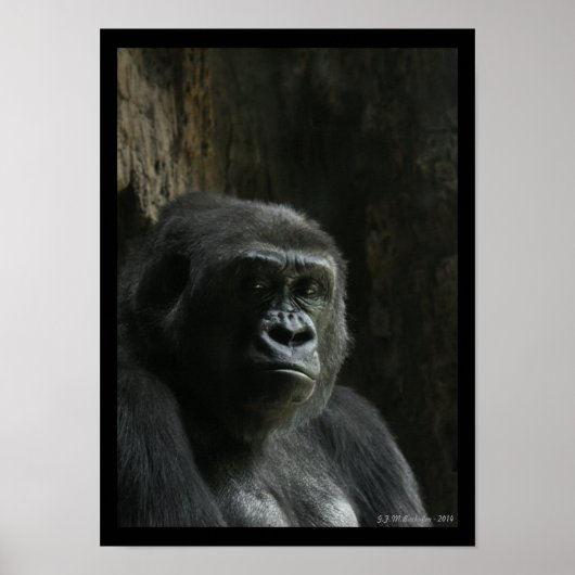 Portrait of an Ape ポスター (正面)