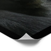 Portrait of an Ape ポスター (角)