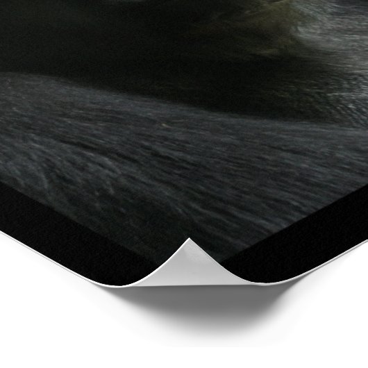 Portrait of an Ape ポスター (角)