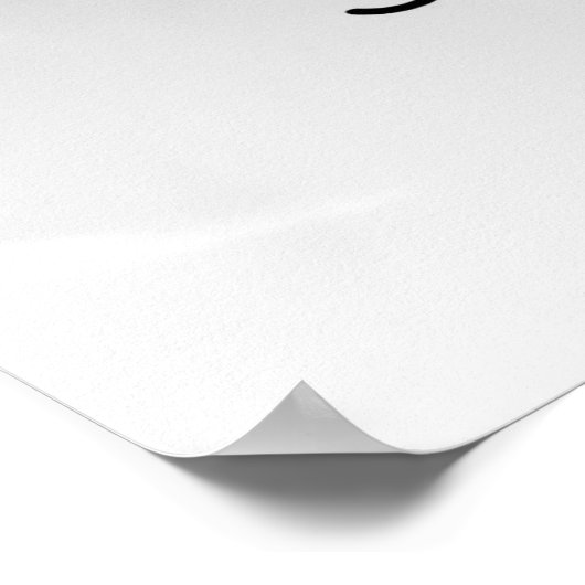 PORTRAIT of an AVIATRIX ポスター (角)