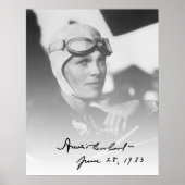 PORTRAIT of an AVIATRIX ポスター (正面)