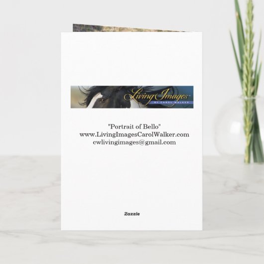 Portrait of Bello Greeting Card 招待状 (裏面)