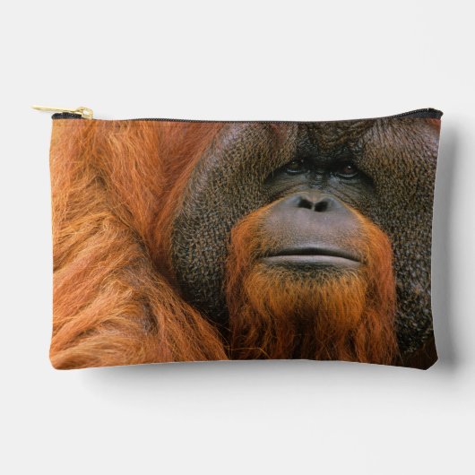 Portrait of Orang-utang Male, Georgia, USA アクセサリーポーチ (正面)