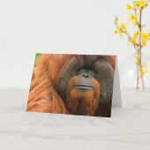 Portrait of Orang-utang Male, Georgia, USA カード (黄色い花)