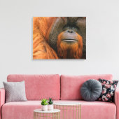 Portrait of Orang-utang Male, Georgia, USA キャンバスプリント (インサイチュ (リビング))