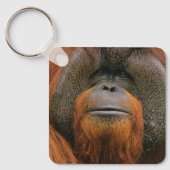 Portrait of Orang-utang Male, Georgia, USA キーホルダー (正面)