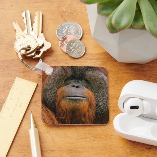 Portrait of Orang-utang Male, Georgia, USA キーホルダー (デスク)