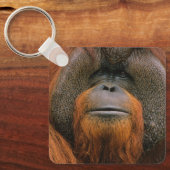 Portrait of Orang-utang Male, Georgia, USA キーホルダー (正面)