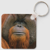 Portrait of Orang-utang Male, Georgia, USA キーホルダー (裏面)