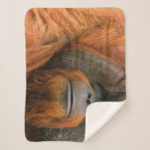 Portrait of Orang-utang Male, Georgia, USA シェルパブランケット (正面)