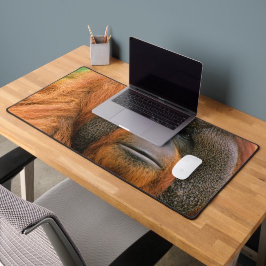 Portrait of Orang-utang Male, Georgia, USA デスクマット (オフィス2)