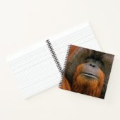 Portrait of Orang-utang Male, Georgia, USA ノートブック (内部)