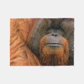 Portrait of Orang-utang Male, Georgia, USA フリースブランケット (正面(横))