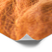 Portrait of Orang-utang Male, Georgia, USA ポスター (角)